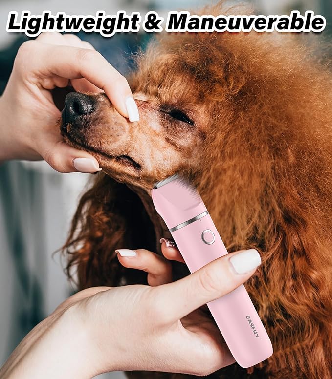 Casfuy Cordless Dog Paw Trimmer - Low Noise Small Dog Clippers with Double Blades USB Rechargeable Grooming Clipper for Dogs Cats and Small Pets for Trimming Hair Around Paws, Eyes, Ears, Face, Rump-PawvioPets