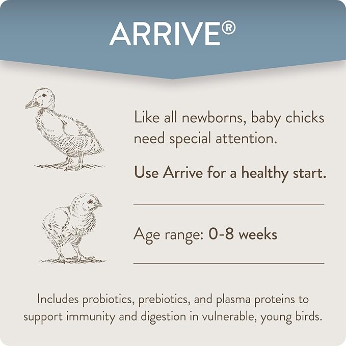 Arrive, Daily Probiotic & Prebiotic Poultry Supplement for Young Chickens 0-8 Weeks Old, 8 oz-PawvioPets
