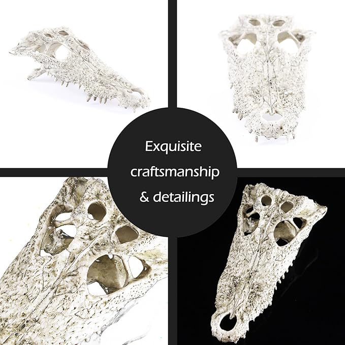 Animal Skull Fish Aquarium Hideout Decorations Cave Dinosaur Reptile Ornament Halloween Décor for Terrarium Large Betta Decor Bones-PawvioPets