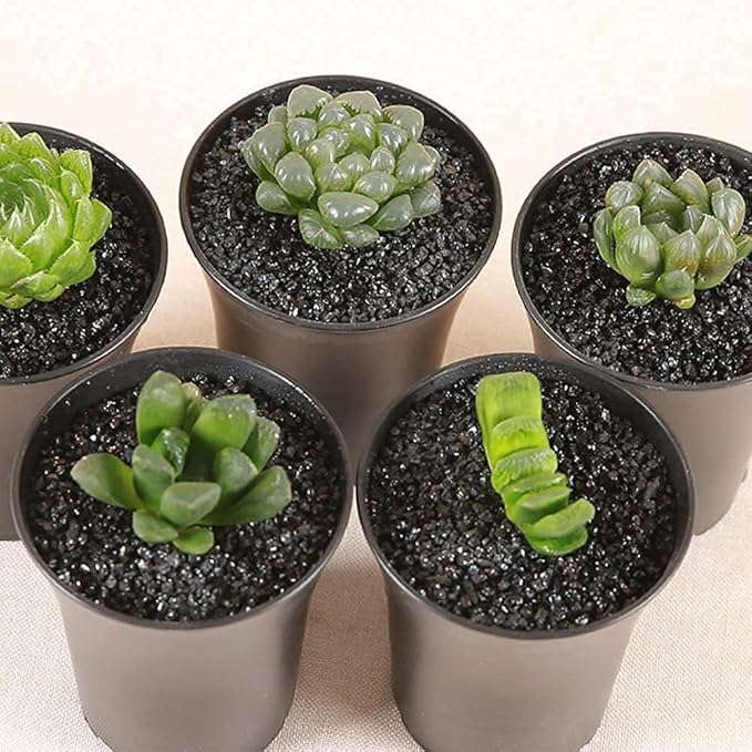 7lb Black Cactus Pea Gravel Rocks,1/4 Inch Pebbles for Indoor Plants, Natural Succulent Rock and River Rocks Decorative for Aquariums, Vases, Outdoor Gardening, Top Dressing for Potted Plants-PawvioPets