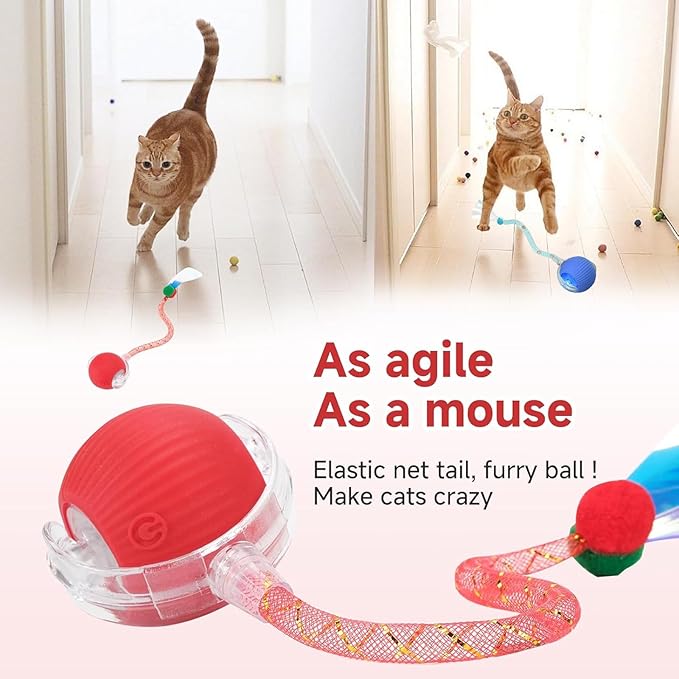 2 Packs Speed 2.0 Tail Interactive Cat Toys for Indoor Cats, Chirping & Motion Activate Cat Toy, Smart Kitten Rolling Ball Moving Ball Toys, Rechargeable Dog Cats Bal l for Enrichment Exercise-PawvioPets
