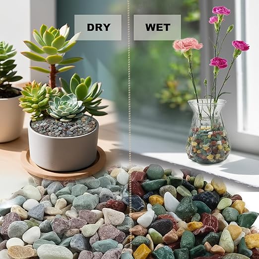 45LB Succulents Rocks for Plants Cactus Gravel Pebbles for Fish Tank 1/2 Inch Natural River Rocks for Vase, Aquarium, Landscaping,Bonsai,Terrarium Pebbles, Mixed Color-PawvioPets