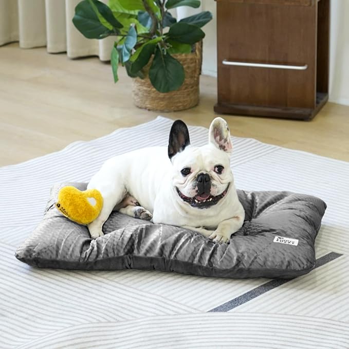 FUNNY FUZZY 30x20 Washable Dog Bed Crate Mat, 2 in1 Pet Pillow Sleeping Bed, Fluffy Deluxe Kennel Mattress for Medium Dog and Cat,Charcoal Grey,M-PawvioPets