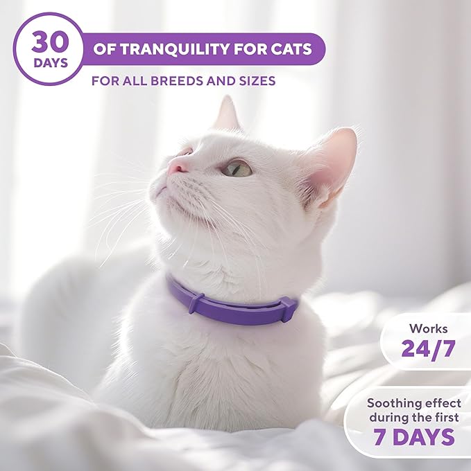 Cat Calming Collar & Pet Anti Anxiety Products - Feline Calm Pheromones Collars & Cats Stress Relief - Relaxivet Comfort Helps with Pee, New Zone, Aggression, Fighting with Dogs & Other Behavior-PawvioPets