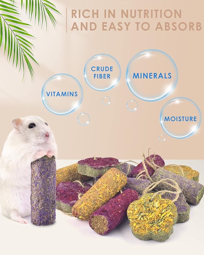 Bissap 12PCS Rabbit Chew Sticks, Hanging Chew Sticks & Cakes Timothy Hay Carrot Strawberry Treat for Bunny Chinchilla Guinea Pig Hamster and Other Small Pets Molar Snack Toy-PawvioPets