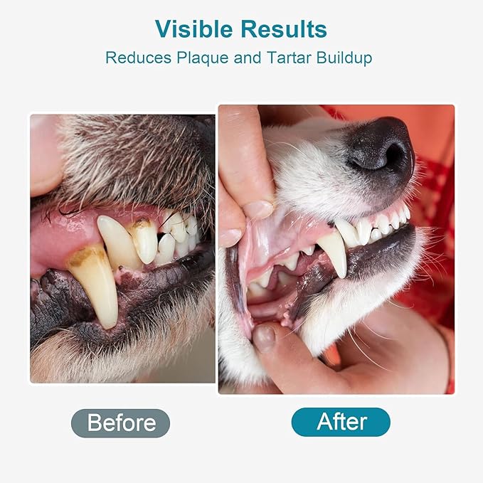 Dog Teeth Cleaning Powder 100g Fights Plaque & Tartar Freshens Breath All-Natural Ingredients for Dogs of All Breeds and Ages Easy to Use Dog Dental Powder-PawvioPets