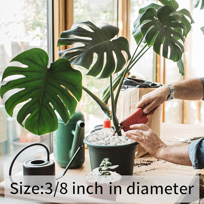 2 lbs White Gravel, 3/8 Inch White Pebbles for Indoor Plants. White Stones for Succulents, Planters, Vase and Outdoor Garden Landscaping-PawvioPets