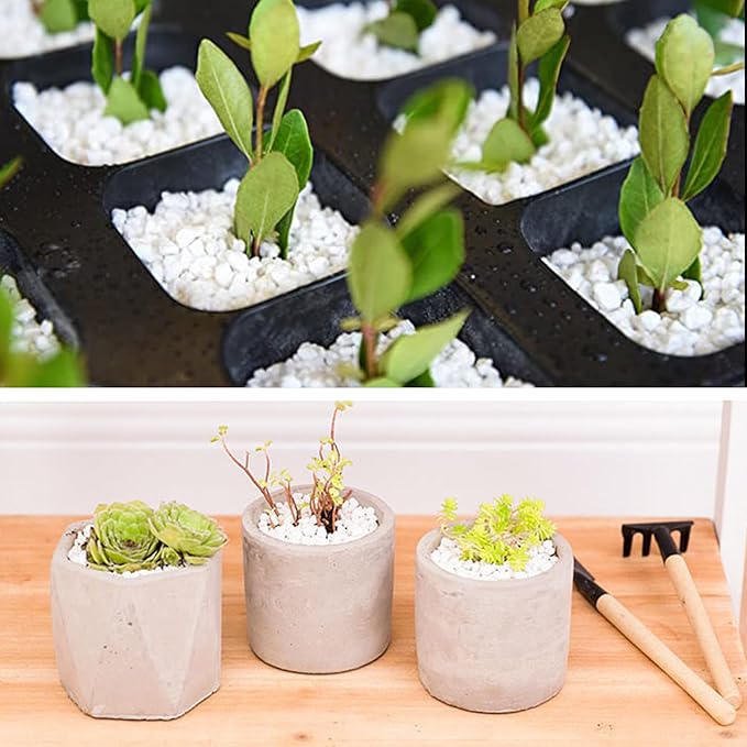 45lb White Cactus Pea Gravel Rocks,1/4 Inch Pebbles for Indoor Plants, Natural Succulent Rock and River Rocks Decorative for Aquariums, Vases, Outdoor Gardening, Top Dressing for Potted Plants-PawvioPets