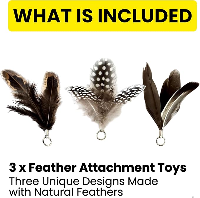 Feather Toys Replacements (3 Pc) - Cat Toys & Kitten Toys for Indoor Kittens, Set of Replacement Feather Attachments Extra Small and Durable, for Cat Wands, Natural and Safe-PawvioPets