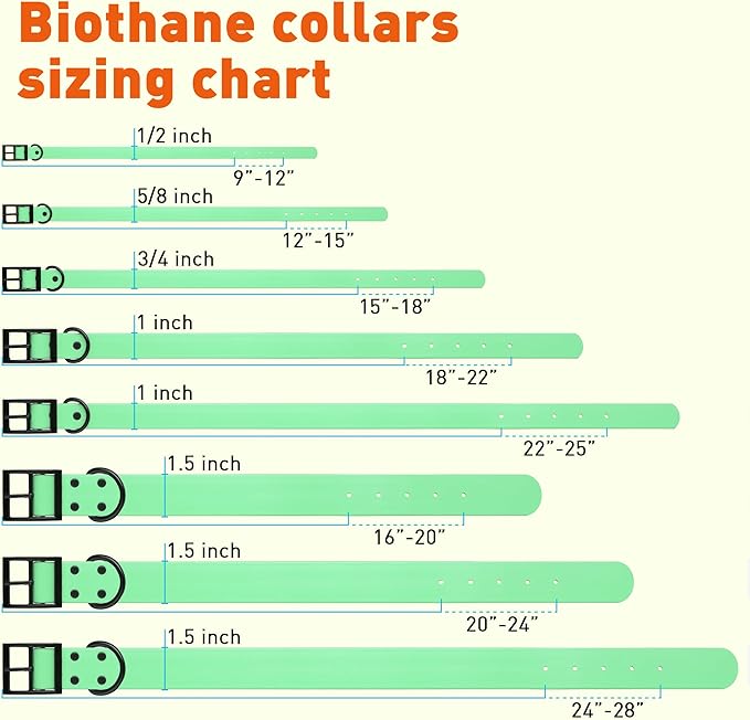 Dogline Biothane Waterproof Dog Collar Strong Coated Nylon Webbing with Black Hardware Odor- Proof for Easy Care Easy to Clean High Performance Fits Small Medium or Large Dogs, Sea Foam Green-PawvioPets
