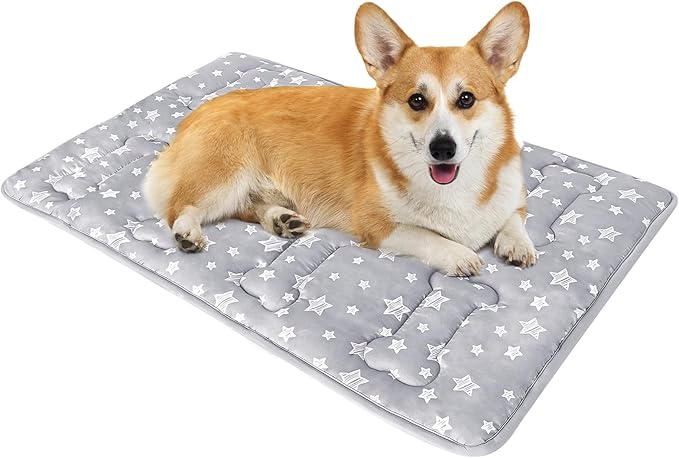 Dog Crate Mat (30" X 19"), Soft Dog Bed Mat with Cute Prints, Personalized Crate Pad, Anti-Slip Bottom, Machine Washable Kennel Pad-PawvioPets