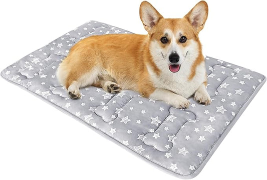 Dog Crate Mat (30" X 19"), Soft Dog Bed Mat with Cute Prints, Personalized Crate Pad, Anti-Slip Bottom, Machine Washable Kennel Pad-PawvioPets