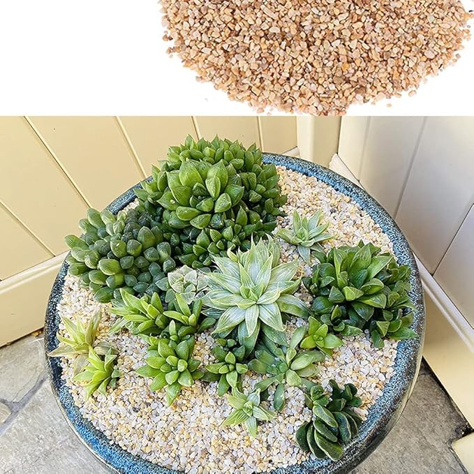 18lb Cactus Pea Gravel Rocks,1/5 Inch Pebbles for Indoor Plants, Natural Succulent Rock and River Rocks Decorative for Aquariums, Vases, Terrarium, Outdoor Gardening, Top Dressing for Potted Plants-PawvioPets
