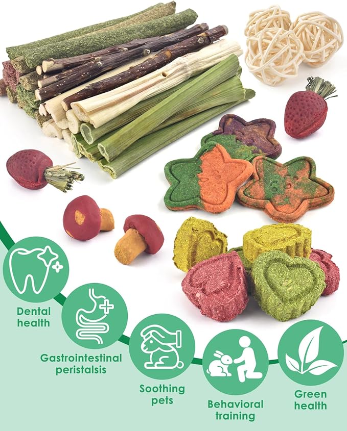 ERKOON 53 Bunny Chew Toys for Rabbits Teeth, Natural Rabbit Toys Apple Wood Sticks, Carrot, Timothy Grass for Small Pets, Hamster, Chinchilla, Guinea Pig Dental Care and Treat Teething(53)-PawvioPets
