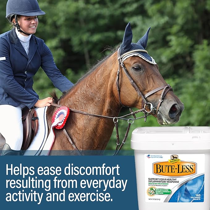 Absorbine Bute-Less Comfort & Recovery Support Supplement, Provides Long-Term Comfort, Gentle on Stomach, Includes Devil’s Claw, Vitamin B-12, Yucca, 10 lb / 160 Day Supply-PawvioPets