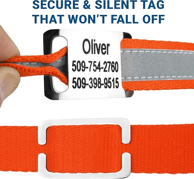 GoTags Reflective Personalized Dog Collar with Nameplate, Adjustable Dog Collar with Custom Engraved Steel Slide On Pet ID Tag, Silent, No Noise Dog Tag for Large Medium or Small (Orange, Medium)-PawvioPets