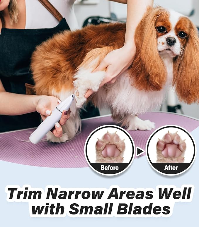 Casfuy Cordless Dog Paw Trimmer - Low Noise Small Dog Clippers with Double Blades USB Rechargeable Grooming Clipper for Dogs Cats and Small Pets for Trimming Hair Around Paws, Eyes, Ears, Face, Rump-PawvioPets