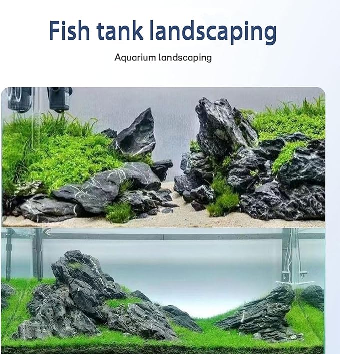 Dragon Stone Aquarium Rock Seiryu Stone for Aquariums, Fish Tanks, Bonsai, Terrariums, Wargaming Dioramas, Indoor or Outdoor Gardens-40Lb(2-10 Inch)-PawvioPets