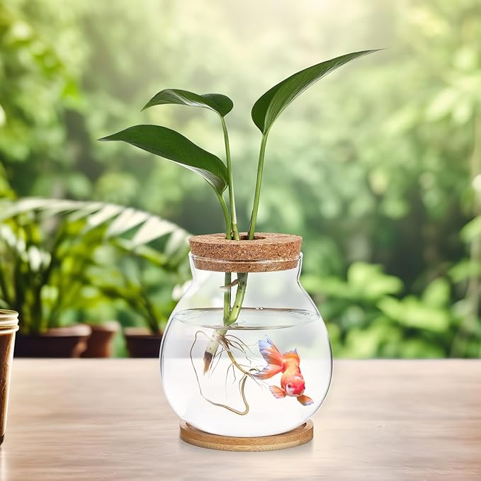 Desktop Fish Bowl Clear Glass Small Betta Fish Tank with Wood Lid and Bamboo Stand Table Hydroponic Plants Terrarium for Home Office Decoration 13 * 14cm-PawvioPets