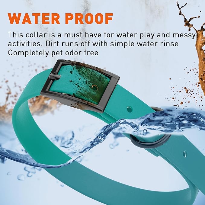 Dogline Biothane Waterproof Dog Collar Strong Coated Nylon Webbing with Black Hardware Odor- Proof for Easy Care Easy to Clean High Performance Fits Small Medium or Large Dogs, Blue Aqua-PawvioPets