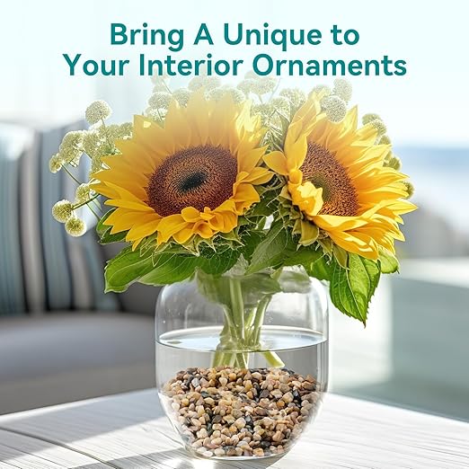 2.5 lbs Small Rocks for Plants, 1/5 Inch Gravel for Plants Drainage, Decorative Potting Pebbles for Indoor Plants, Vases, Bamboo, Succulent, Terrarium, Crafts, Cactus-PawvioPets