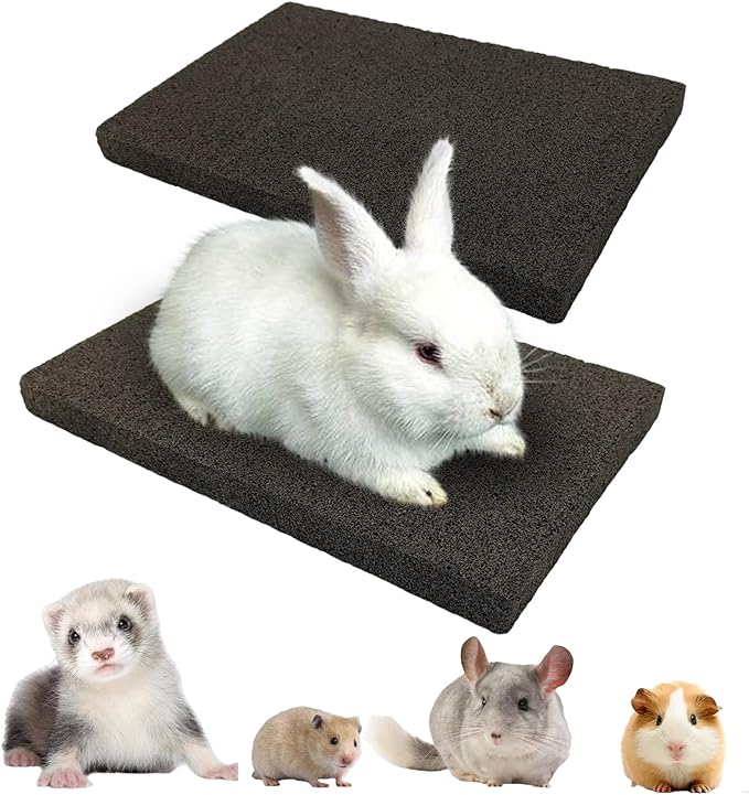 BNOSDM Rabbit Grinding Claw Pads 2 Pack Bunny Scratch Foot Pads Natural Hamster Lava Stone for Teeth Grinding Black Guinea Pig Scratching Board Chew Toy for Ferret Chinchilla Mouse-PawvioPets