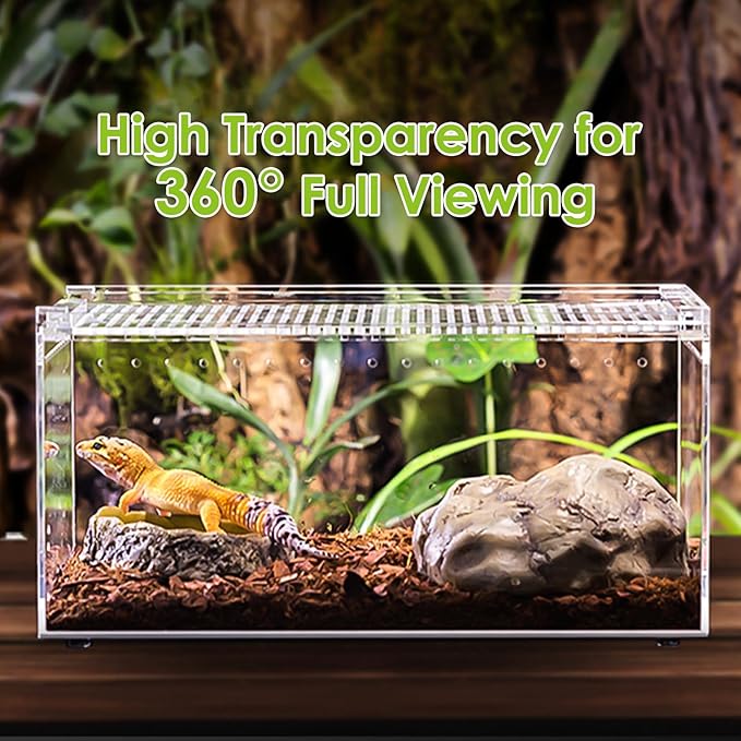 Acrylic Reptile Terrarium Enclosure 9.8" x 5.9" x 5.9" Magnetic Tarantula Breeding Box Transparent Insect Habitat for Jumping Spider Hermit Crab Lizard Sling Isopods Horned Frog Snake Gecko-PawvioPets