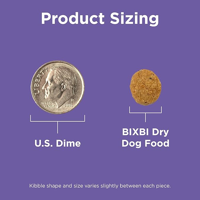 BIXBI Rawbble Dry Dog Food, Lamb, 4 lbs - USA Made with Fresh Meat - No Meat Meal & No Corn, Soy or Wheat - Freeze Dried Raw Coated Dog Food - Minimally Processed for Superior Digestibility-PawvioPets