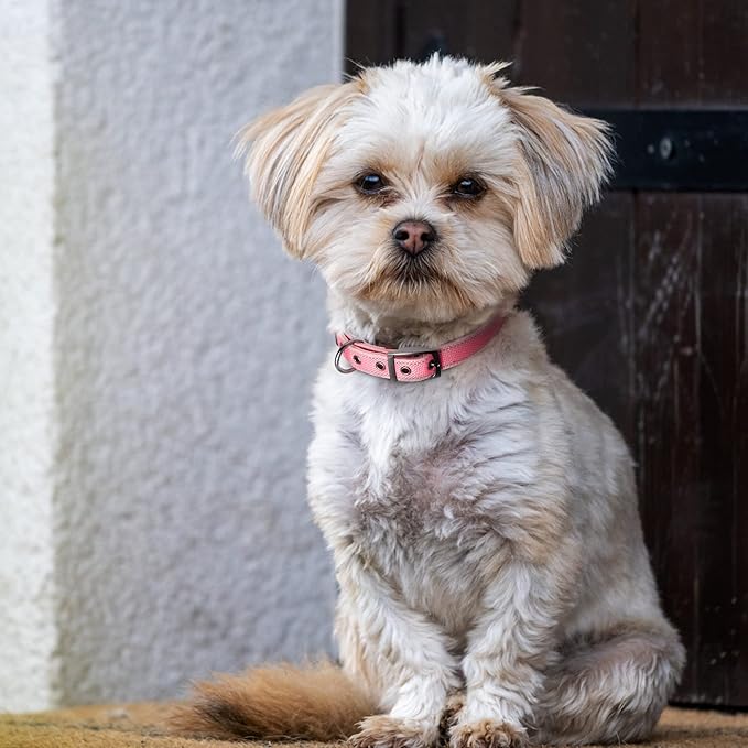 Fida Heavy Duty Dog Collar, Ultra Comfortable Soft Neoprene Padded, Adjustable Reflective Nylon Pet Collar with Durable Metal Belt Buckle for Small Breeds (S, Pink)-PawvioPets