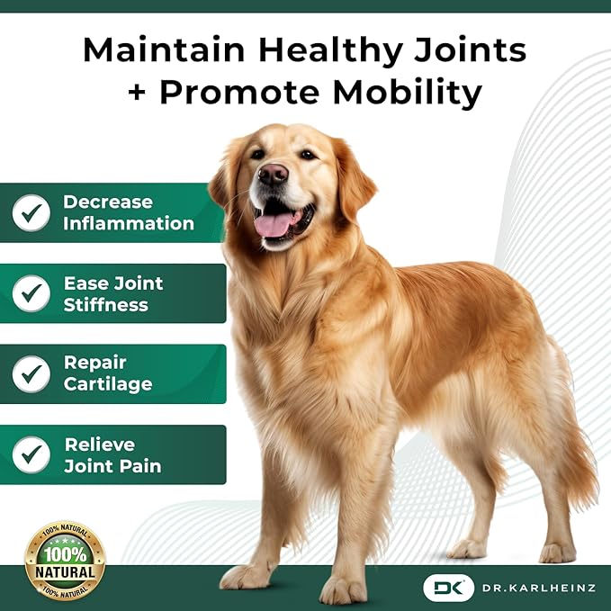 Glucosamine for Dogs - Max Strength Hip and Joint Supplement for Dogs - MSM, Chondroitin, Hemp Oil, Turmeric - Mobility Support and Pain Relief - 120 Chewable Tablets (Chicken Flavor)-PawvioPets