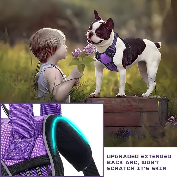 BUMBIN Dog Harness for Large Dogs, No Pull Adjustable No Choke Pet Vest with Dog Leash Fit Smart Reflective Pet Walking Harness for Training Easy Control Soft Handle Purple S-PawvioPets