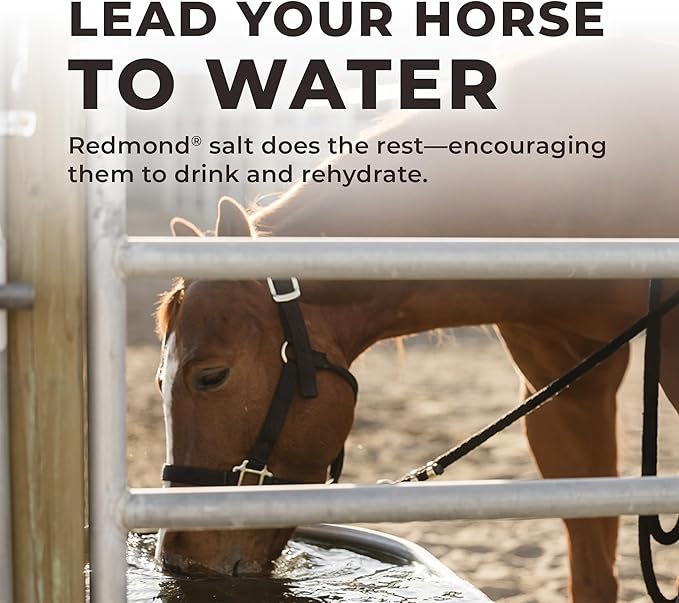 Daily Red Crushed Loose Minerals | Mineral Salt + Electrolyte Supplement for Horses (25LB Refill Bag)-PawvioPets