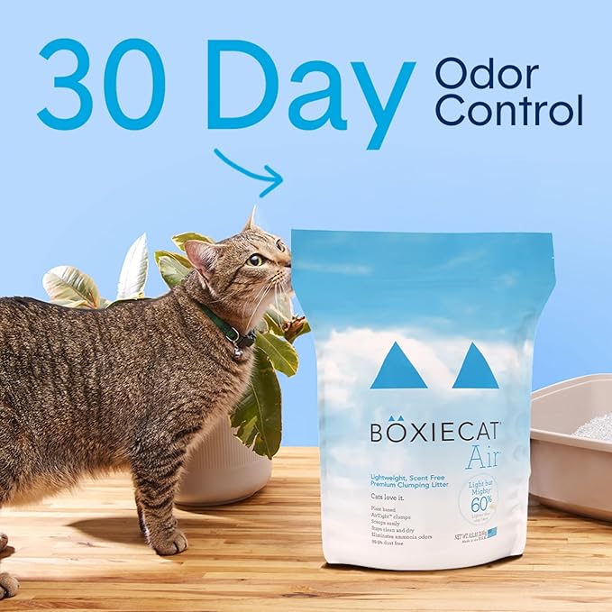 Boxie® Unscented 30 Day Natural Odor Control Cat Litter, 11.5lb Lightweight Plant Based Kitty Litter-PawvioPets
