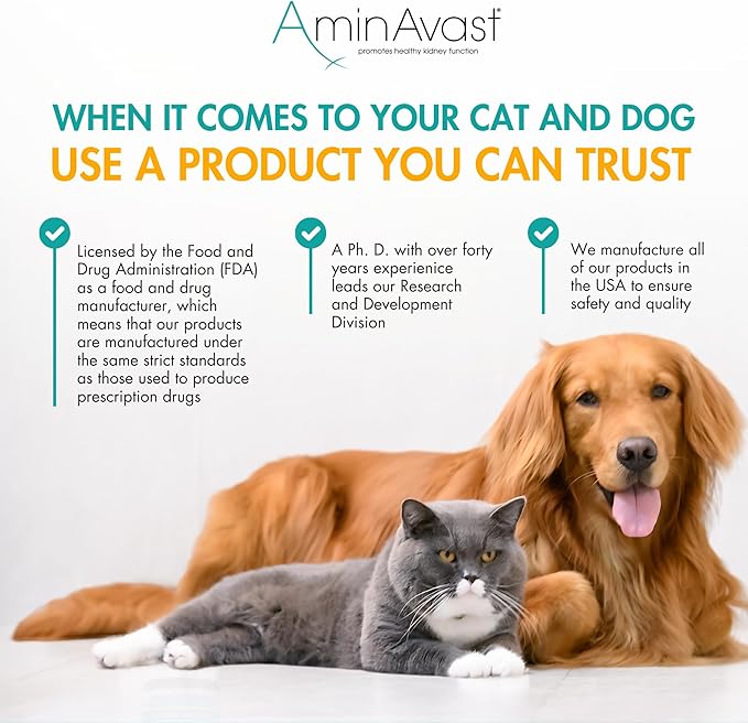 AminAvast Small Dogs & Cat Kidney Support - Promotes Healthy Kidney Support in Cats & Small Dogs - 300mg, 60 Capsule-PawvioPets