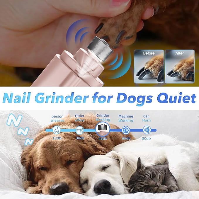 2 in 1 Dog Nail Clippers and Grinder with Lights & Cat Nail Clipper for Large Medium Small Dogs Cats Nail Trimmers USB Rechargeable with 2 LED Lights Dog Claw Care for Non-Black Nails-PawvioPets