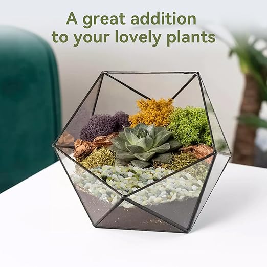 5LB Succulent and Cactus Pebbles, 1/5 Inch Jade Pebbles for Indoor Plants, Decorative Gravel for Vases, Bamboo, Succulent, Terrarium, Crafts, Cactus-PawvioPets