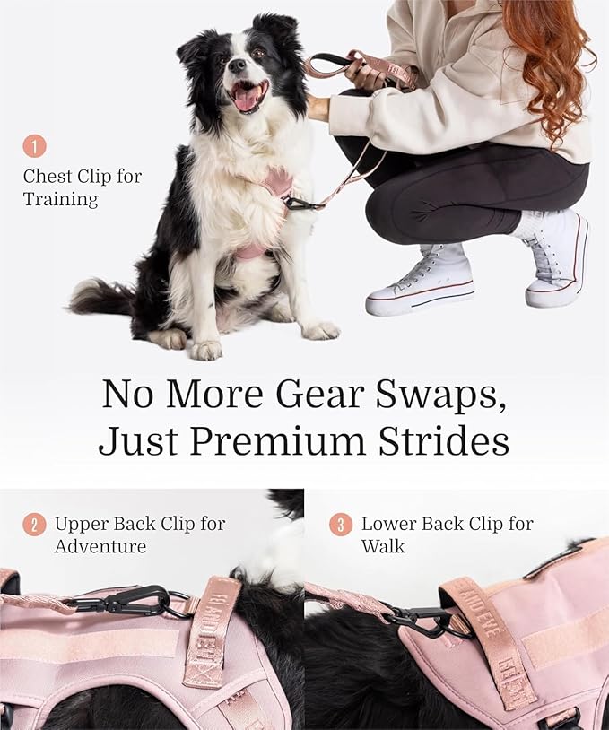 2025 New Edition, Fei & Eve MagEase Dog Harness - 3-Second Magnetic Buckles | 3-Point No-Pull Control | Heavy-Duty 900D Nylon | Dual Safety Handles | Breathable Mesh | Adjustable Fit | X-Large, Pink-PawvioPets