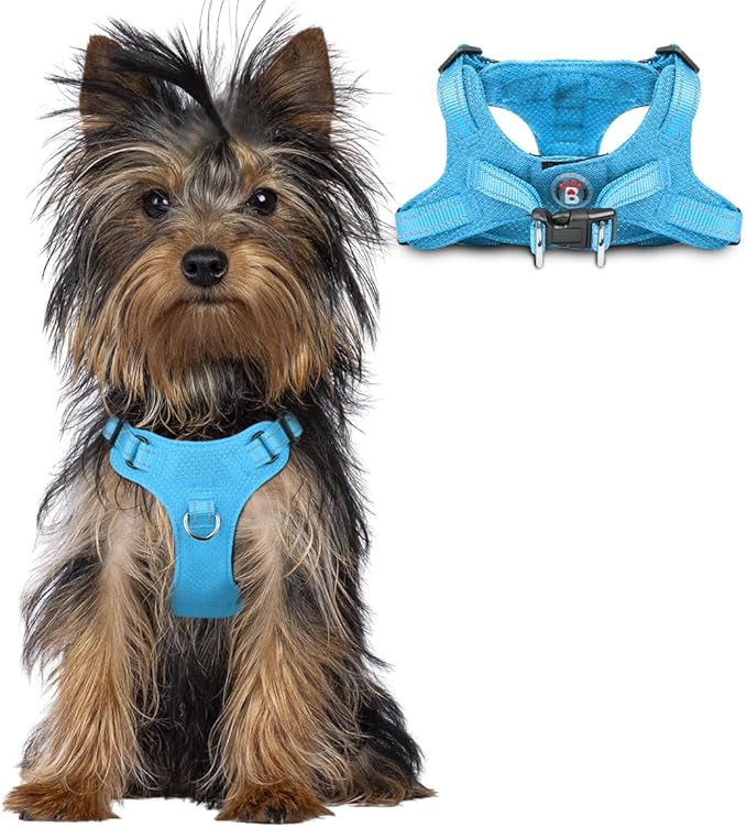BARKBAY Dog Harness, Reflective Adjustable Puppy No Pull Harness, Breathable Soft, Blue, XXS-PawvioPets