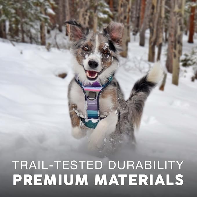 Embark Adventure Dog Harness, No-Pull Reflective Trim Dog Harness for Small, Medium & Large Dogs - Heavy Duty Oxford, 2 Leash Clips & Gel Lined Handle. Soft & Padded Puppy Dog Vest for Any Breed-PawvioPets