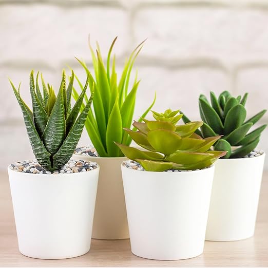 5 lbs Small Rocks for Plants, 1/5 Inch Pebbles for Indoor Plants, Natural Decorative Pea Gravel for Aquarium, Fish Tank, Terrarium, Succulents, Bamboo Plants, Vases, Cactus, Crafts-PawvioPets