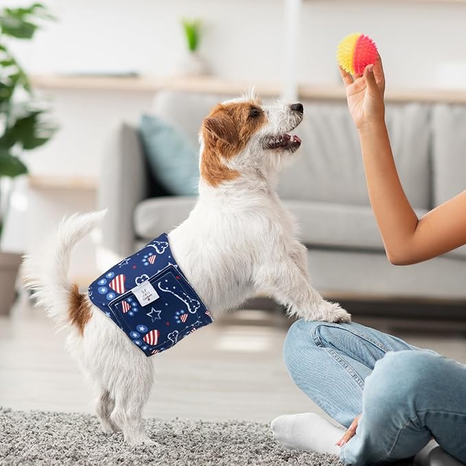 CuteBone Dog Diapers Male Belly Bands 3 Pack for Male Dogs Reusable Puppy Wraps DM66XS-PawvioPets