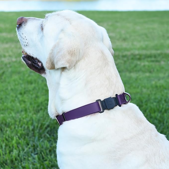 Dogline Biothane Waterproof Dog Collar with Herm Sprenger Stainless Steel Quick Release Buckle – Heavy Duty Tactical Durable Collar for Dogs – Comfortable and Safe Pet Collar, W 3/4" L 12-19", Purple-PawvioPets