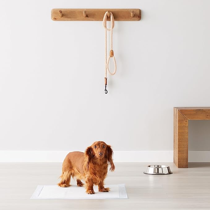 Amazon Basics Dog and Puppy Pee Pads, 5-Layer Leak-Proof Super Absorbent, Quick-Dry Surface, Potty Training, Regular (22x22"), 100 Count, Blue & White-PawvioPets