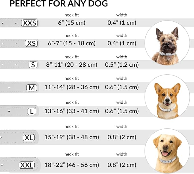 CollarDirect Rolled Leather Dog Collar, Soft Padded Round Puppy Collar, Handmade Genuine Leather Collar Dog Small Large Cat Collars 13 Colors (6 Inch, White Smooth)-PawvioPets