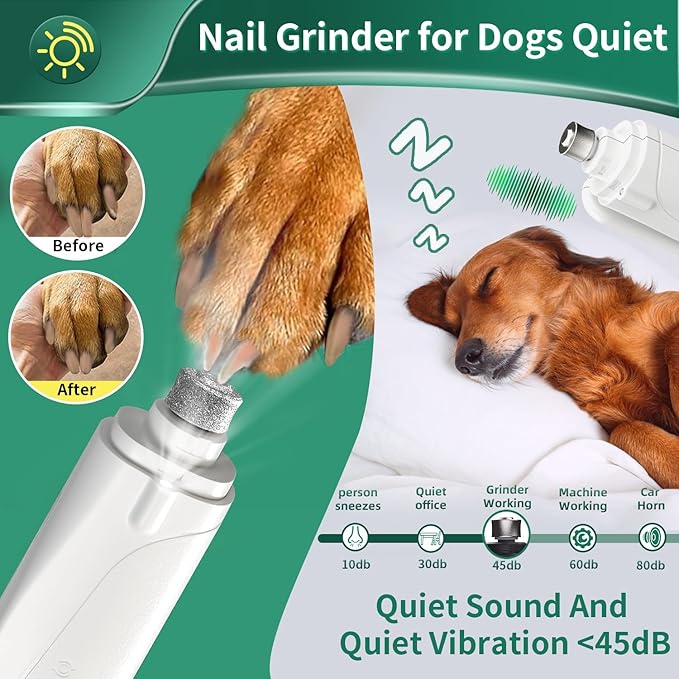 2 in 1 Dog Nail Clippers & Cat Nail Clippers Trimmers for Large Medium Small Dogs Cats Claw Trimmer Quick Sensor and Safety Guard USB Rechargeable Dogs Nail Trimmer with Catcher & 2 LED Lights-PawvioPets