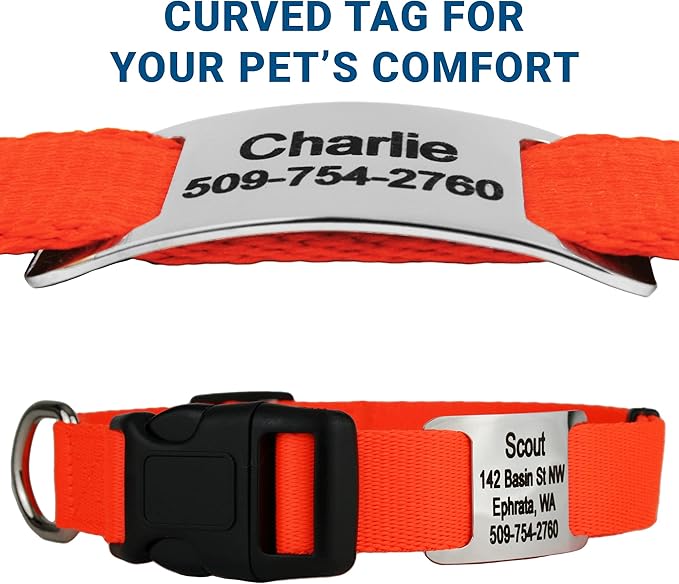 GoTags Personalized Dog Collar with Nameplate, Adjustable Dog Collar with Custom Engraved Slide On Pet ID Tag in Stainless Steel, Silent, No Noise Dog Tag for Large Medium and Small (Orange, X-Small)-PawvioPets