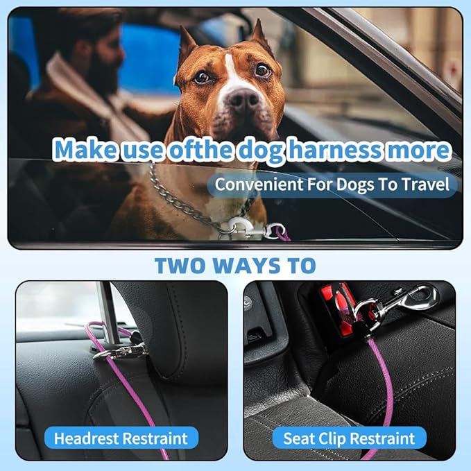 Dog Seat Belt Harness for Car,Dog Seatbelt of Coated Wire Leash Safety Restraint,No Chew Tether Cable Vehicle,Double Clips & Latch(Purple, 16 inch/40 CM)-PawvioPets