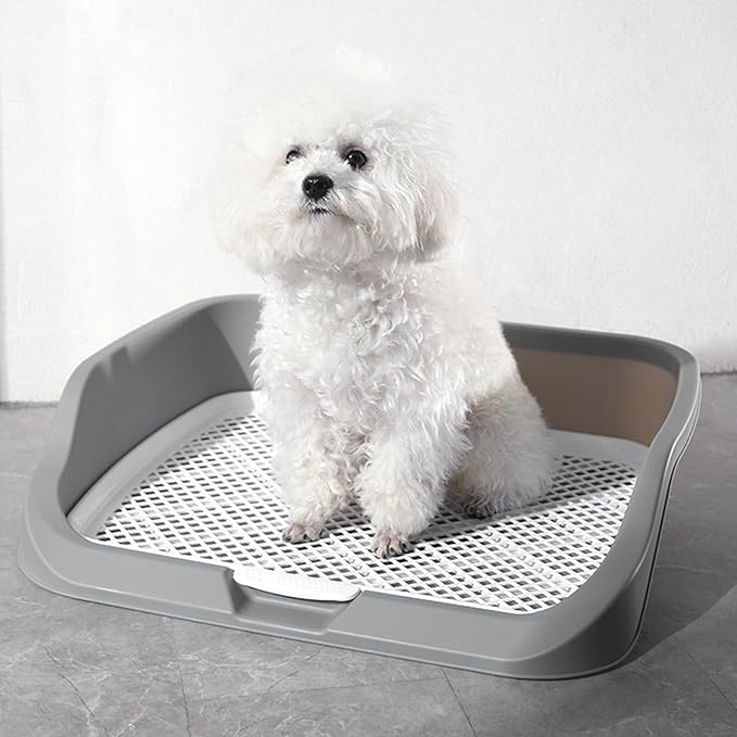 Fabater Dog Potty Toilet Training Tray, Portable Multifunctional Mesh Puppy Training Toilet Pad Holder with Bafflel for Small Dogs Puppies (Gray)-PawvioPets