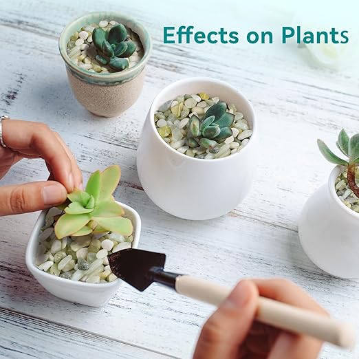 2.5 lbs Jade Pebbles for Indoor Plants, 1/5 Inch Succulent and Cactus Pebbles, Decorative Gravel for Vases, Bamboo,Terrarium, Crafts, Cactus-PawvioPets