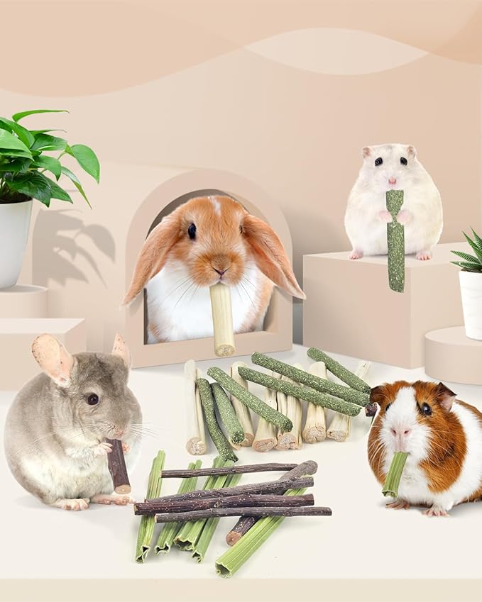 Bissap 60 PCS Rabbit Chew Sticks, Sweet Bamboo Timothy Hay Chew Stick Papaya Stems Apple Branch Bunny Chews for Rabbit Hamster Chinchilla Guinea Pig Small Pet Natural Molar Treats-PawvioPets